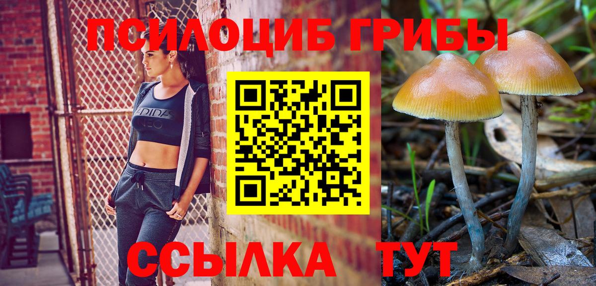 Псилоцибиновые грибы Cubensis  как найти   Южноуральск  Галлюциногенные грибы мицелий  Вход с VPN 